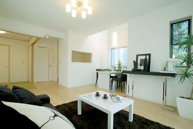 Living. Same construction cases