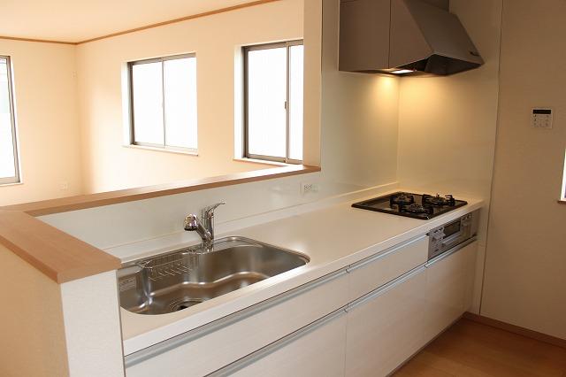 Kitchen. Indoor (11 May 2013) Shooting