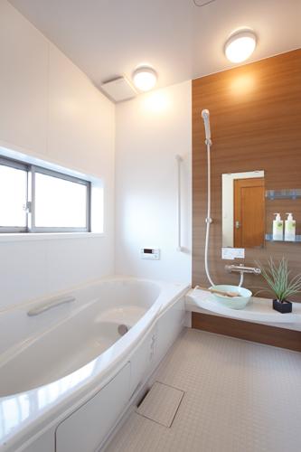 Bathroom. Indoor (September 2013) Shooting