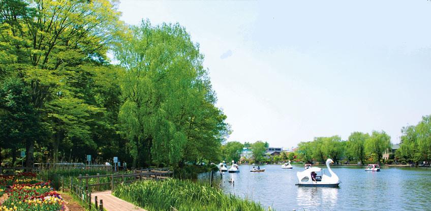 park. Until Shakujii Park 678m