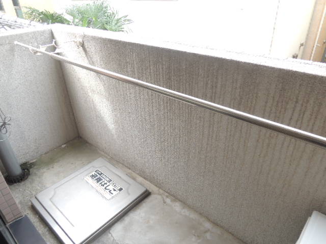 Balcony. West-facing balcony