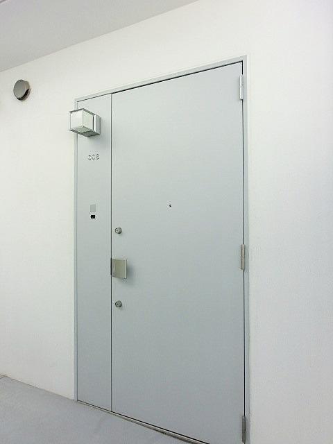 Entrance. Entrance door