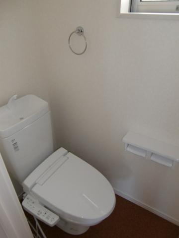 Toilet. The first floor toilet. Of course, with a shower.