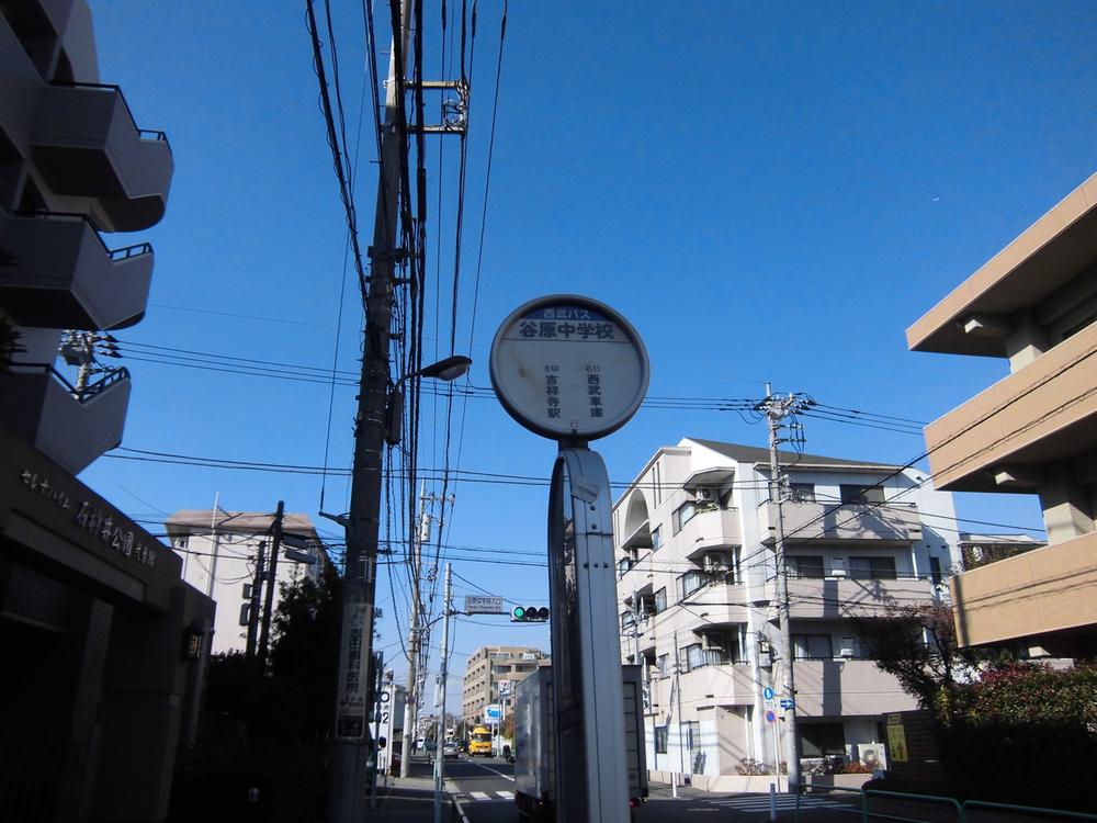 Other Environmental Photo. (2013 November shooting)