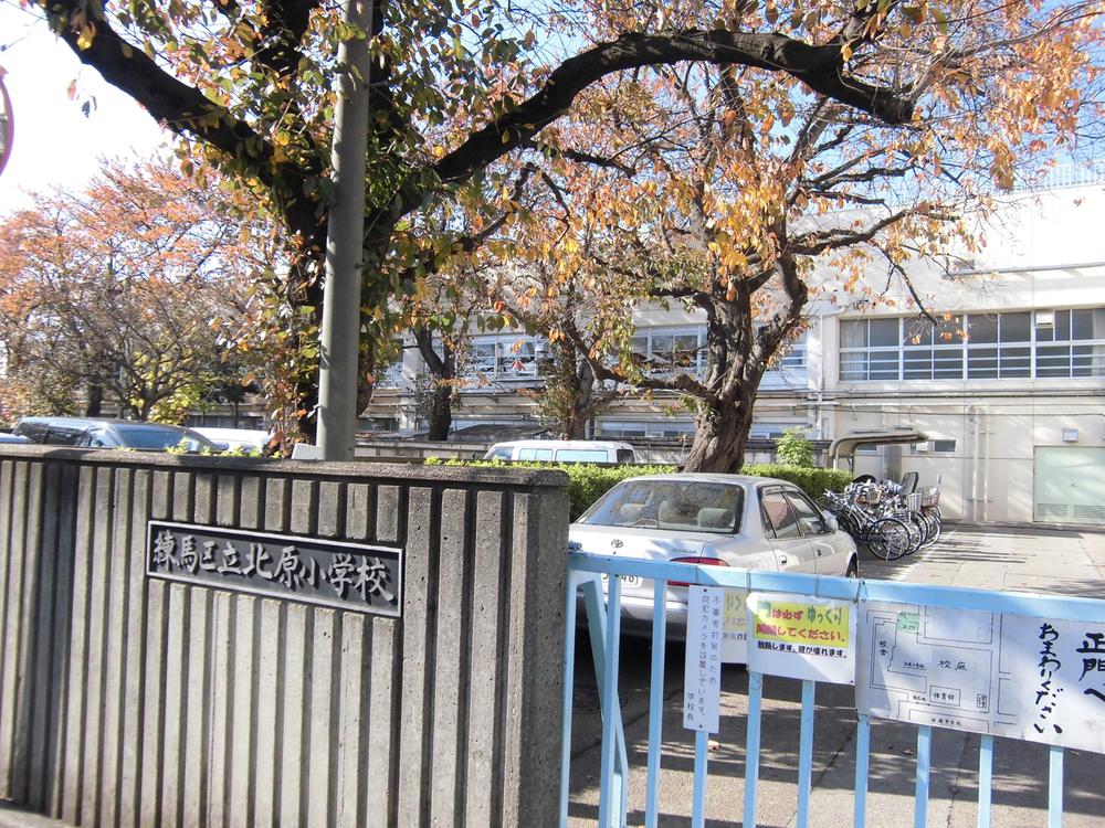 Primary school. (2013 November shooting)