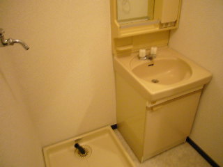 Washroom. Vanity is now a must-haves.