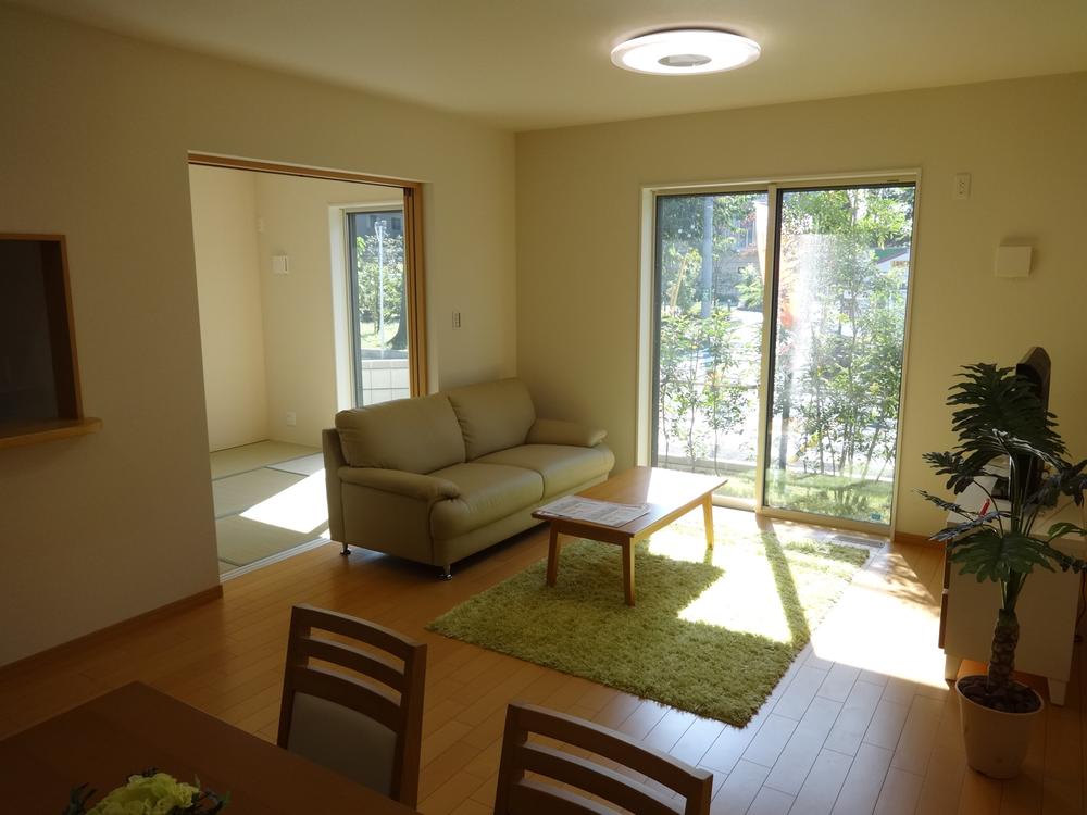 Living. Indoor (10 May 2013) Shooting