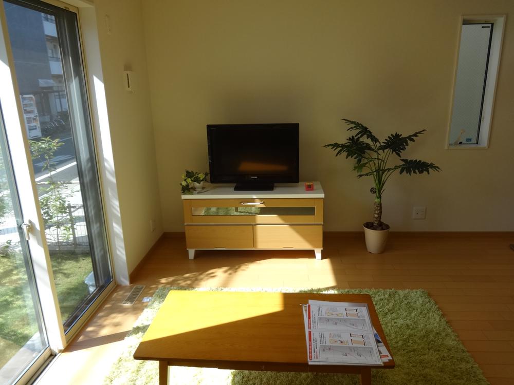 Living. Indoor (10 May 2013) Shooting