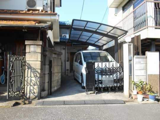 Local land photo. Appearance 1