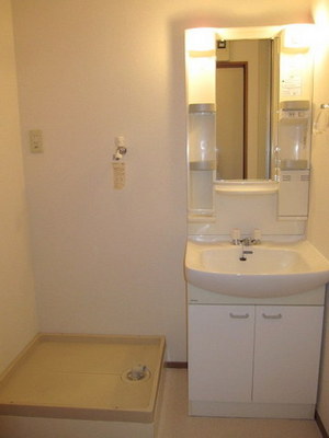 Washroom. With separate wash basin
