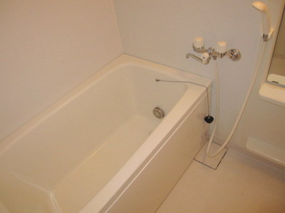 Bath. Spacious bathroom with add-fired function