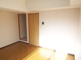 Living and room. Western-style flooring