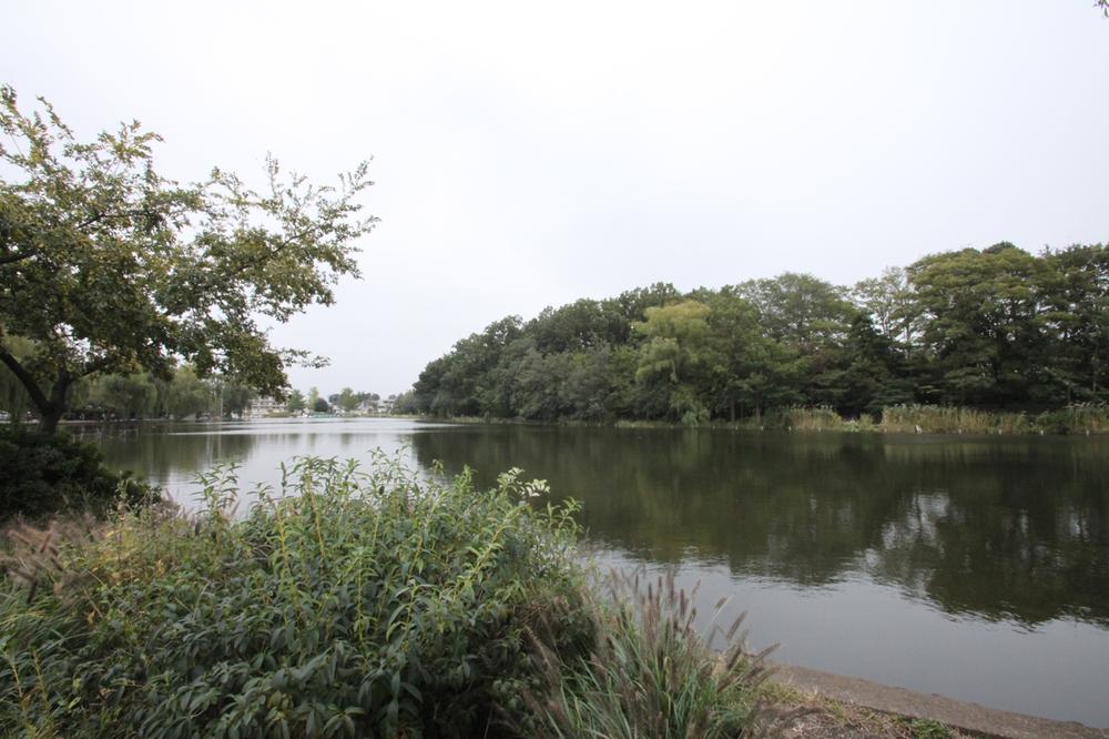 park. 150m nature and birds coexist until Shakujii Park, Feel the green through the four seasons, You can also enjoy boat