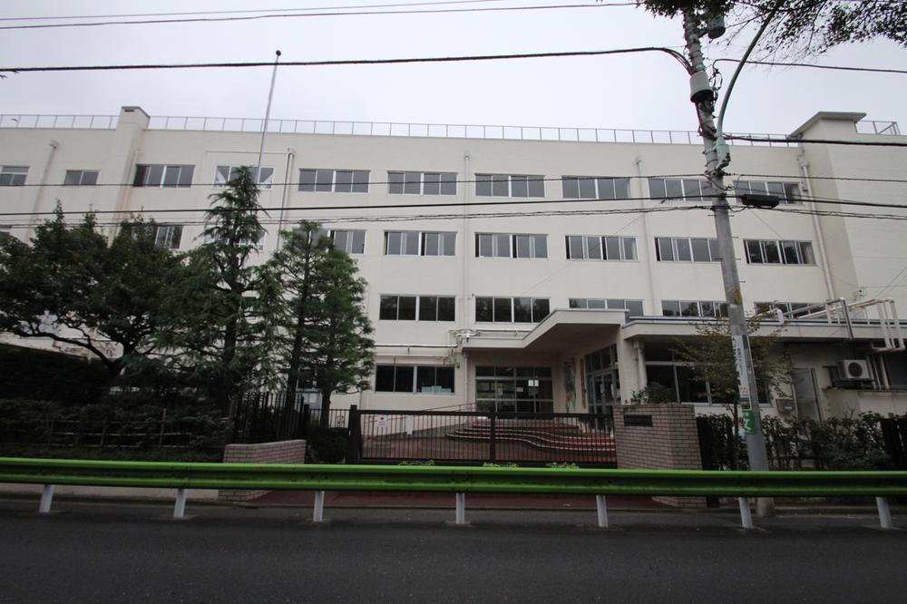 Primary school. Welcomed 963m founding 140 anniversary to Nerima Shakujii Elementary School, park ・ Culture Museum ・ It is a school with an atmosphere surrounded by the venerable shrine