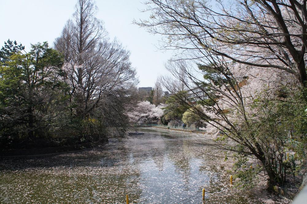 park. Musashi Seki park