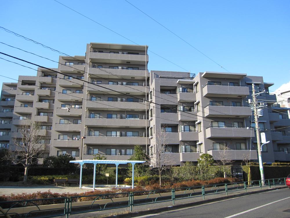 Local appearance photo. Local (January 2010) Shooting