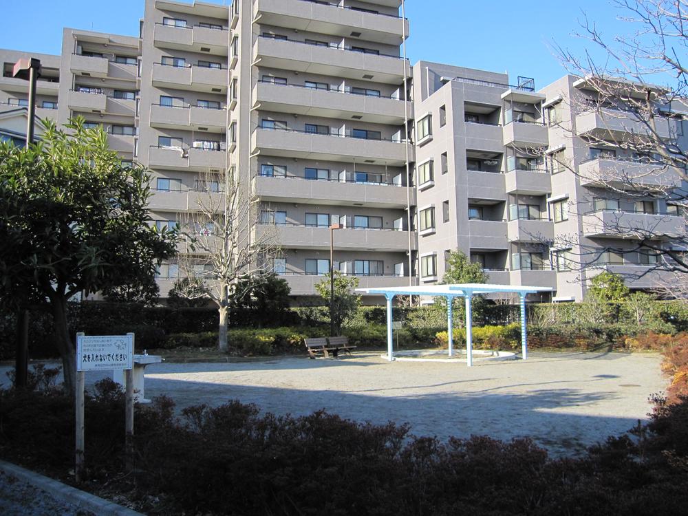 Local appearance photo. Local (January 2010) Shooting