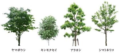 Garden. Deliver the season, Symbol tree and rich planting ・ Planting a symbol tree in each compartment. We will continue to watch the growth of the family