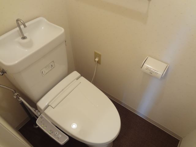 Toilet. Bathroom with a shower