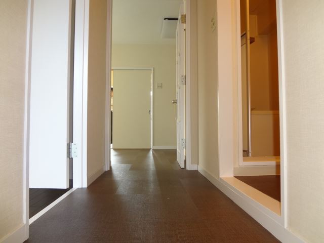 Entrance. Corridor from the beautiful entrance