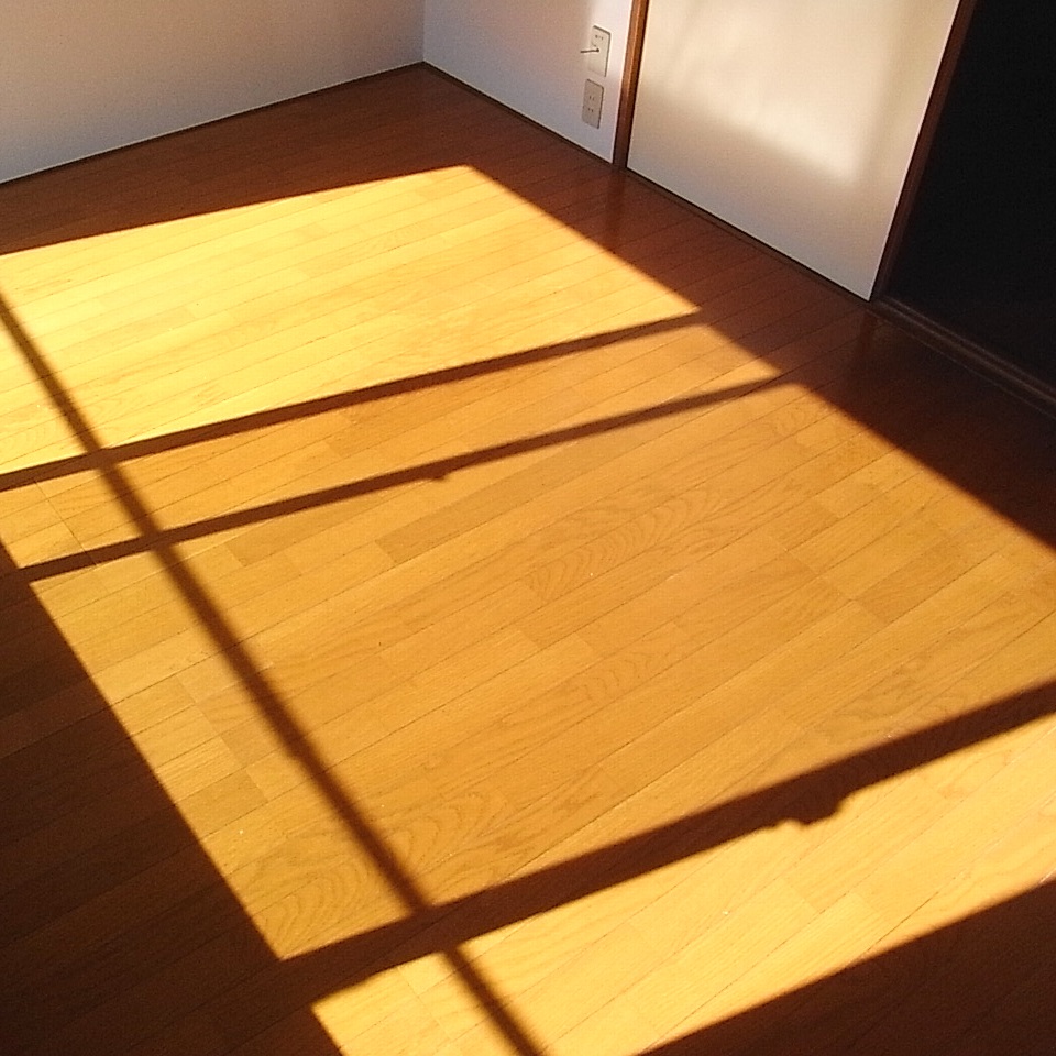 Living and room. Sunny, Flooring