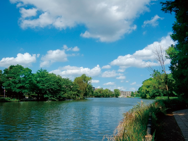Surrounding environment. Shakujii Park (bicycle about 12 minutes ・ About 2800m)