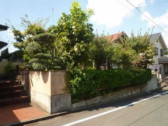 Local land photo. It is the property.