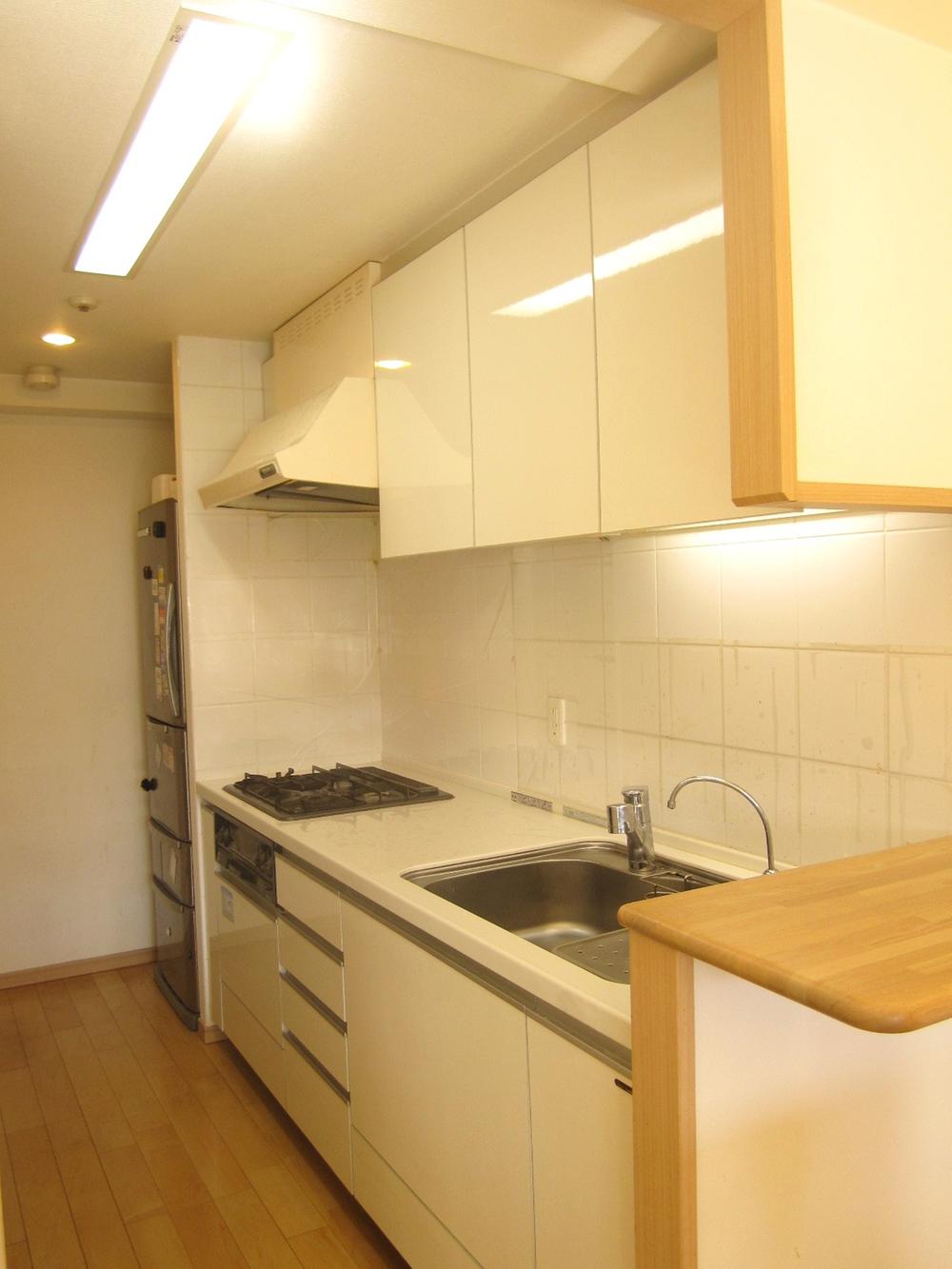 Kitchen. Indoor (12 May 2013) Shooting