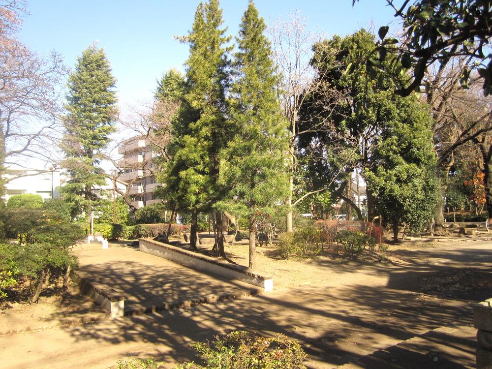 Other. Before apartment, Lush virtue dono park