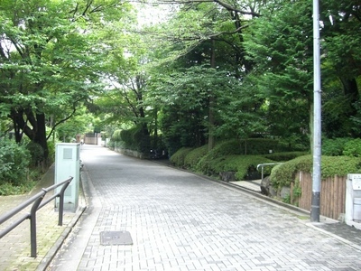 park. Shakujii Park "promenade" 700m to the (park)