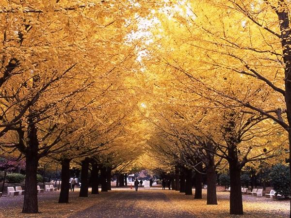 Other. Hikarigaoka park