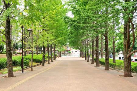 park. Johoku Central Park