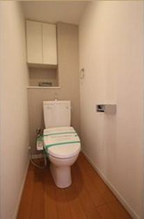 Toilet. ~ Interior was completed ~