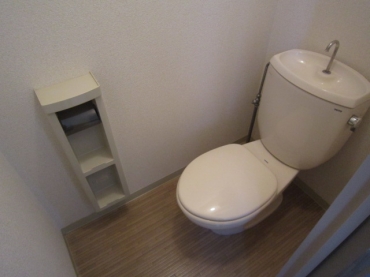 Toilet. Toilet, Western type