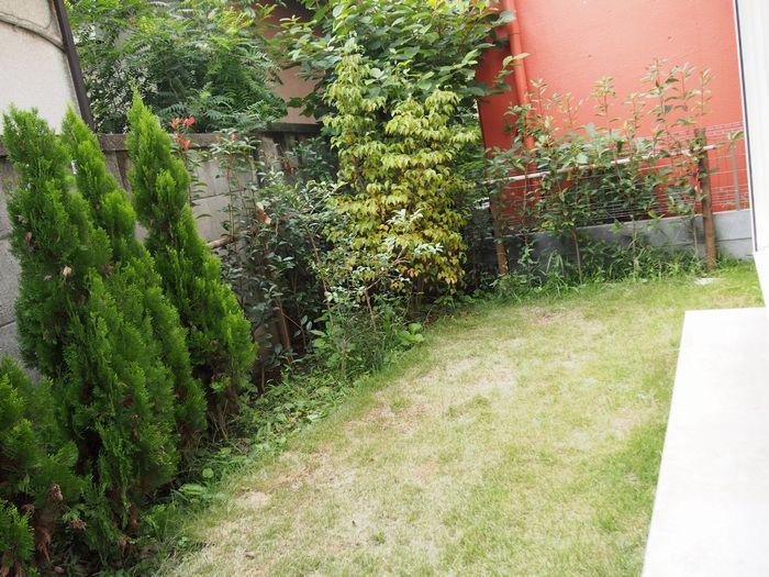 Garden. Local (September 2013) Shooting