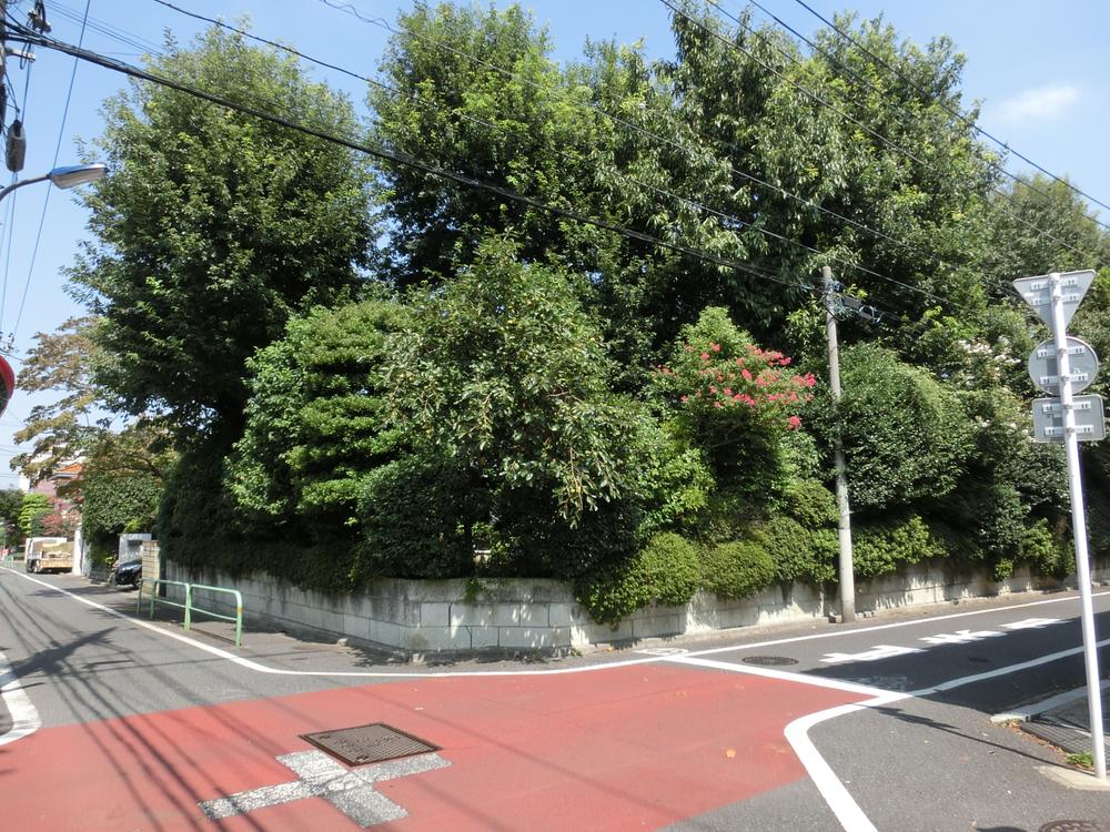 Local land photo. Local (September 2013) Shooting