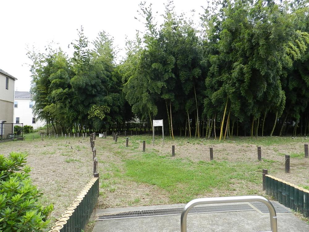 park. 300m to the forest green of OKurayama