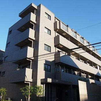 Local appearance photo. Local (11 May 2013) Shooting