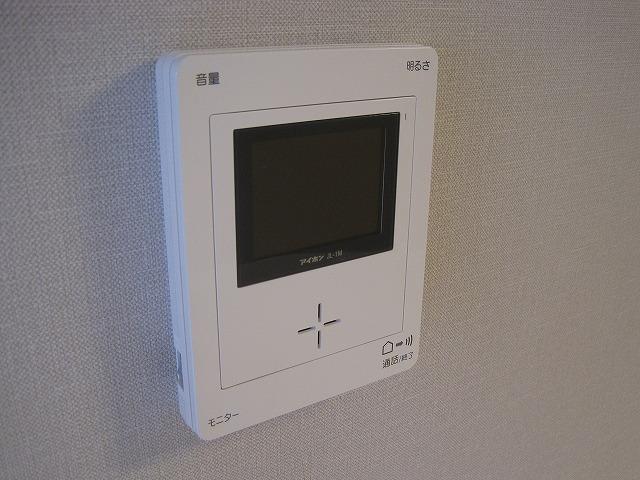 Security equipment. Visitor's figure can be confirmed safe.