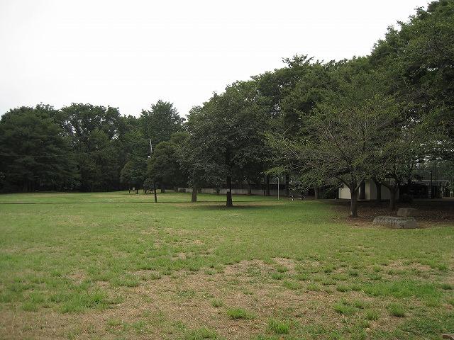 Other local. Lush park near