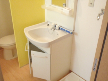 Washroom. Separate vanity room