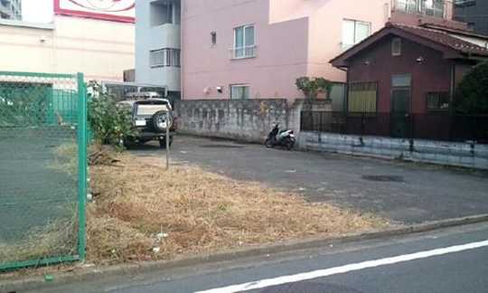 Local land photo. appearance