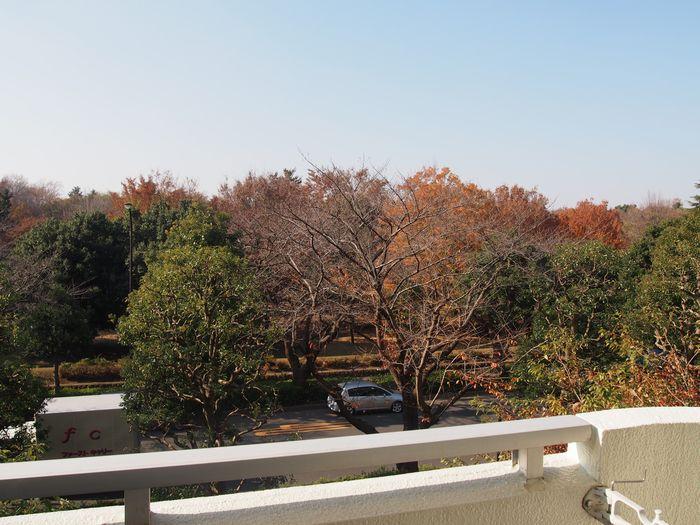 View photos from the dwelling unit. View from the site (December 2013) Shooting