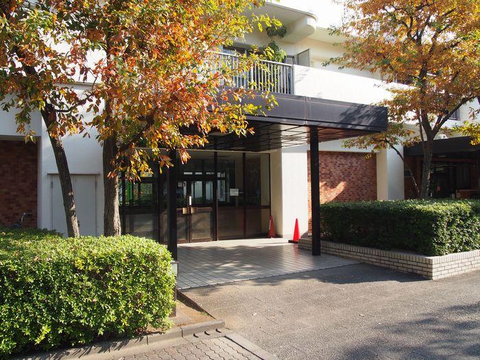 Entrance. Common areas