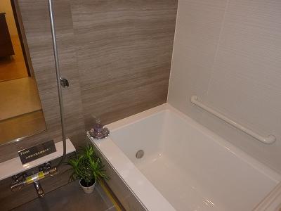 Bathroom. Indoor (11 May 2013) Shooting