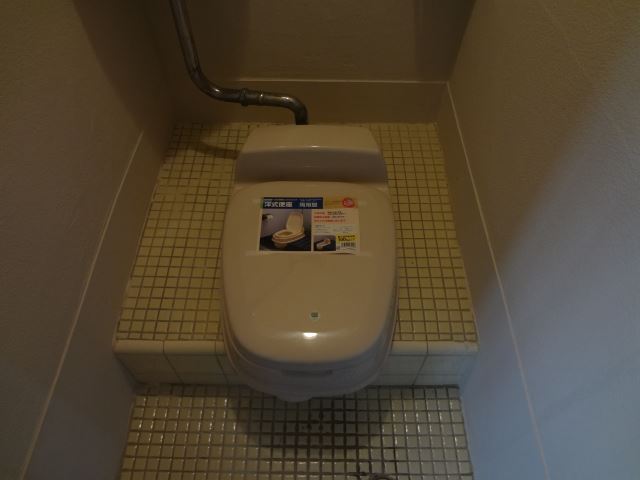 Toilet. Clean toilets