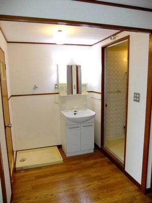 Washroom. Vanity and washing machine yard (washing pan)