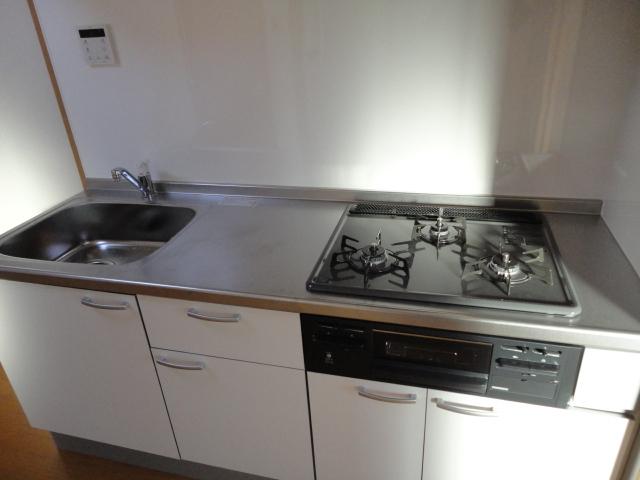 Kitchen. Indoor (12 May 2013) Shooting