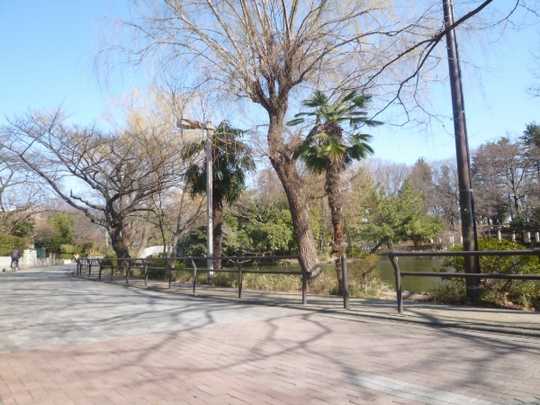 Local land photo. Up to about Metropolitan Shakujii Park 1, 000m