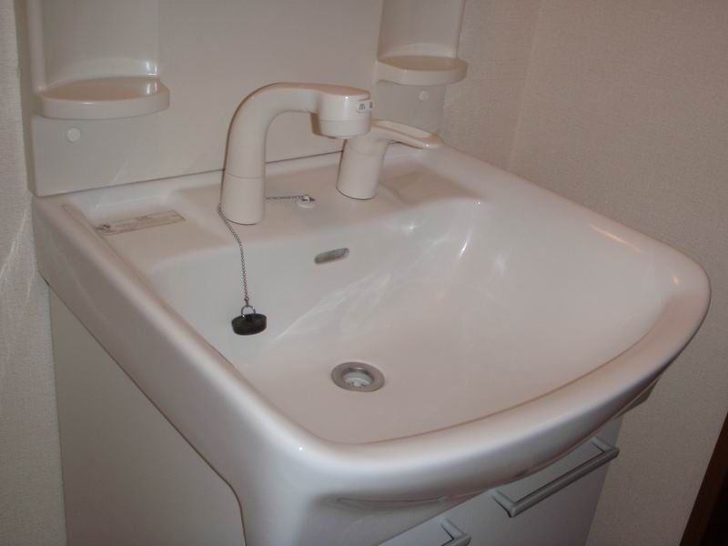 Washroom. Shampoo dresser